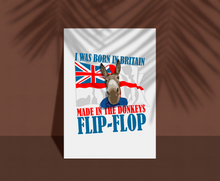 Load image into Gallery viewer, Donkeys Flip flop Print, Royal Navy Print, Gibraltar Pub Art, Matelot Wall Prints, Jack Posters
