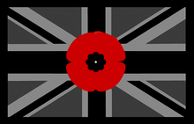 Load image into Gallery viewer, Military Humor - Flag & Poppy - Embroidered Patch
