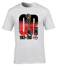 Load image into Gallery viewer, Military Humor - Op Banner - NI Veteran