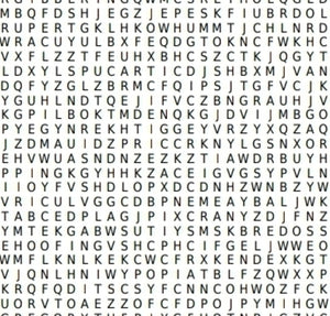 Military Slang Wordsearch